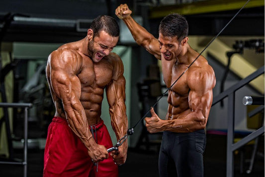 Top 5 Beste Tricepoefeningen - Hallo tricep-titanen! Als je streeft naar imposante armen en een krachtige stoot in je workout, dan is het tijd om je triceps te laten schitteren. De triceps vormen het grootste deel van je bovenarm en zijn cruciaal voor exp